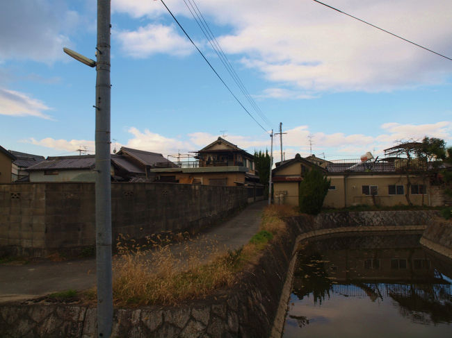 直線でなく　緩やかな　曲線