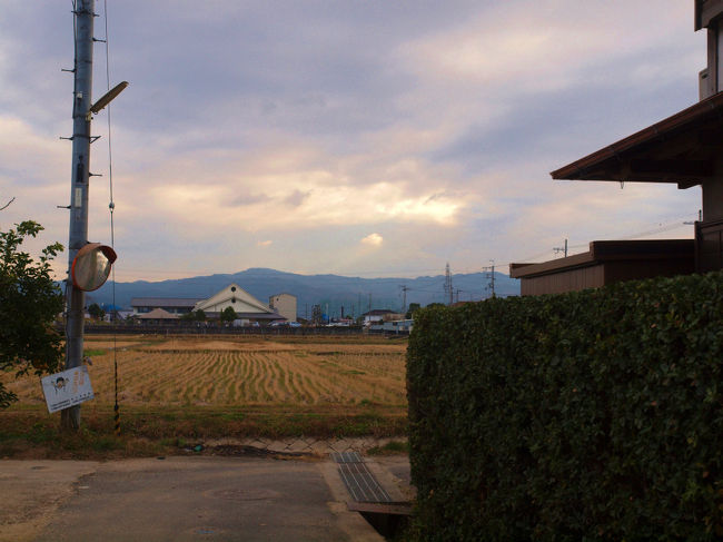 田んぼが広がる　神社前の通り