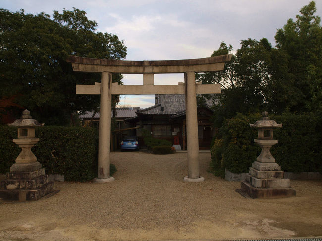 　　集落一周して　　　　めた神社　正面へ<br /><br />　集落は　東西約２６０メートル<br /><br />　　　　　南北約２６０メートル　規模<br /><br />古い記録は　文安元年（１４４４）の　記録が残っている<br /><br />　　古い歴史を今に残す立派な集落でもあります<br /><br />文明１１年（１４７９）　筒井氏が稗田を攻め　火をつけている<br /><br />　　　　　　　　　　　　完<br /><br />次は　慈光院へ向かいました。