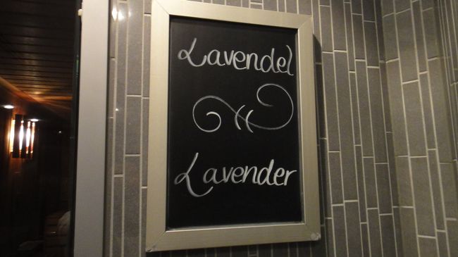 サウナは”まっぱ”（裸）。男女共用がドイツのデフォルトで<br />ございます。きっちり洗礼も受けました。<br />（水着来てもいいとは言われましたけど、ドイツのおじいちゃんたちは<br />まっぱ、です。）