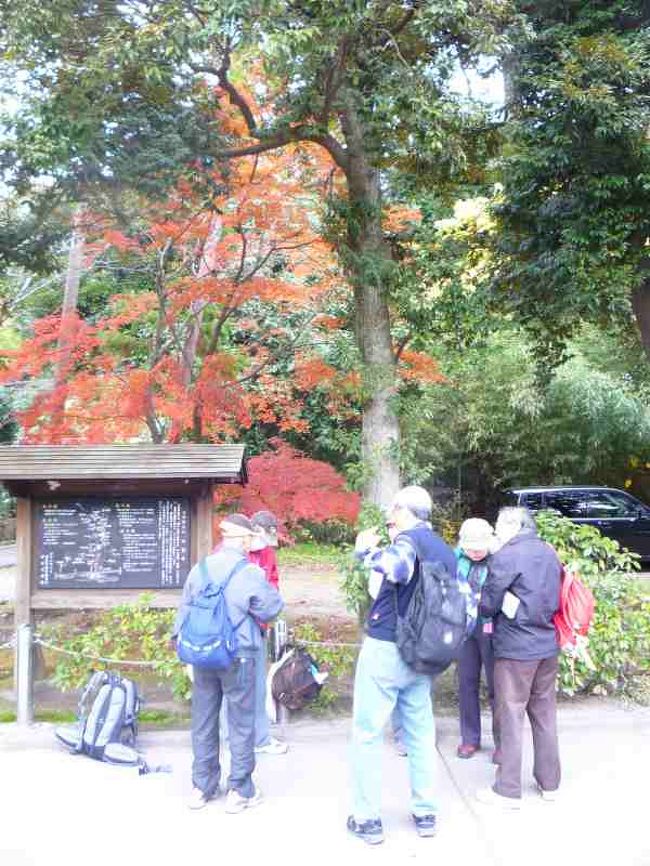 天園ハイキングコース 鎌倉アルプス を歩く いよいよ本番です 鎌倉 神奈川県 の旅行記 ブログ By 敏じぃさん フォートラベル 天園ハイキングコース 鎌倉アルプス を歩く いよいよ本番です 鎌倉 神奈川県 の旅行記 ブログ By 敏じぃさん フォートラベル