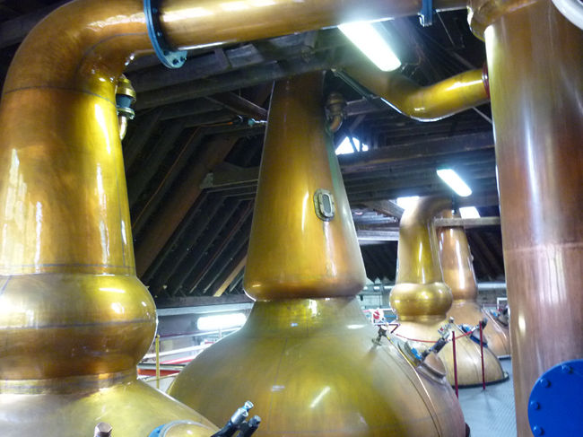 初留機の方が背丈も高い事が分かります。