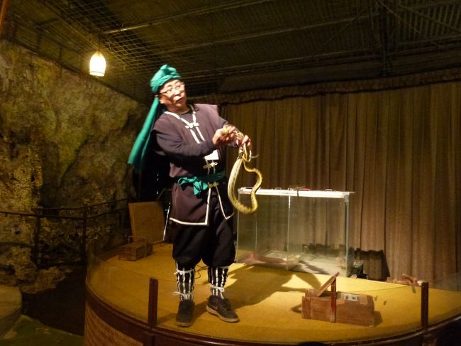 ハブセンターで、矢崎滋似のおじさんが<br />ハブと蛇、マングースのショーを見せてくれました。