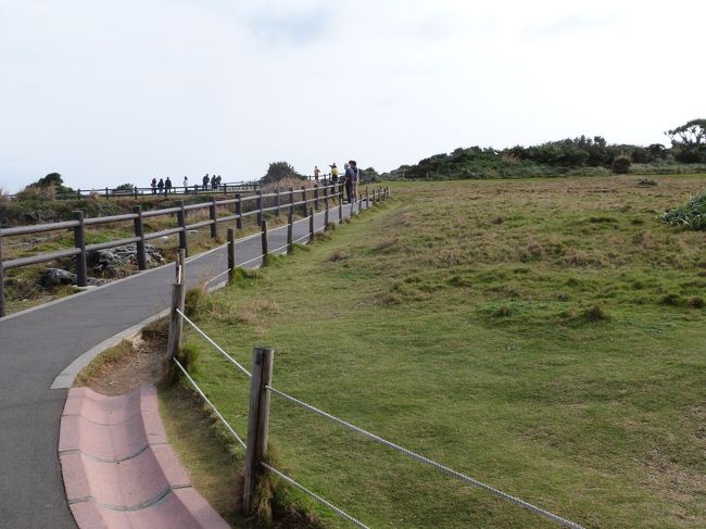 ２５年ぶりに訪れた万座毛は、変わらず<br />素晴らしい景観でした。