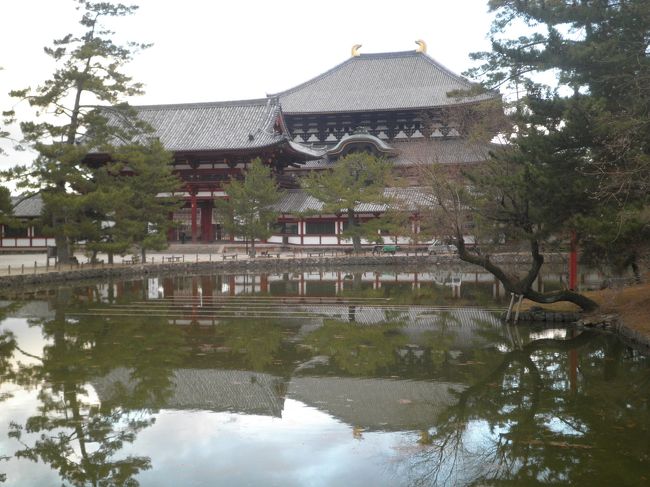 東大寺鏡池から見る大仏殿