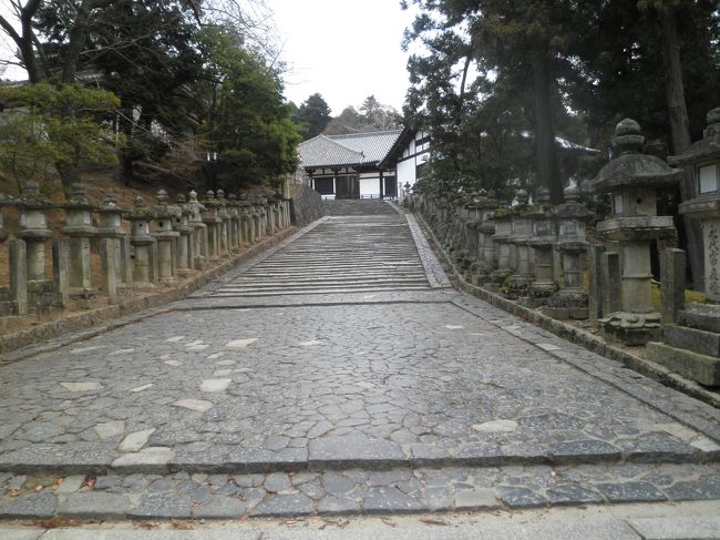 鏡池から三月堂・二月堂方面に緩やかな登り坂を行く