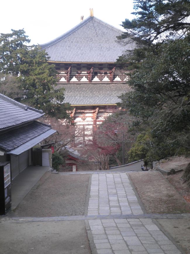 大鐘から見る、大仏殿<br /><br />＊地元の子供達が階段で早朝訓練をしていました。