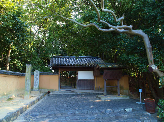 初めて来た頃　付近は穏やかな、、村の一部のようでした<br /><br />　たぶん　昭和３０年代半ばの頃でしょうか<br /><br />　　悩み多き青春時代（お笑いください）<br /><br />一人旅、、場所もよくわからずに、<br /><br />奈良の地図さえまだよく知らないの頃でした