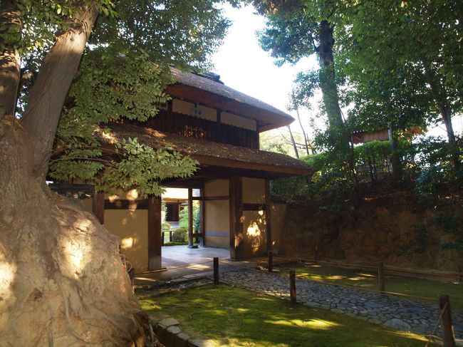 慈光院　門　が少し見えますね<br /><br />　　二度目は昭和４０年に入ってから、、<br /><br />できたばかりの名阪自動車道が書院からみえて<br /><br />　御住職さんが嘆いておられたことが今でも思い出されます。