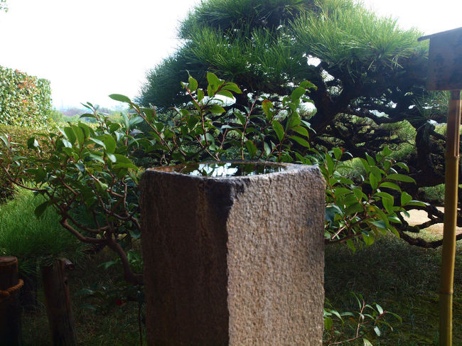 重要文化財　手水鉢　角ばらず<br /><br />　他　三点　文化財　手水鉢が有ります。