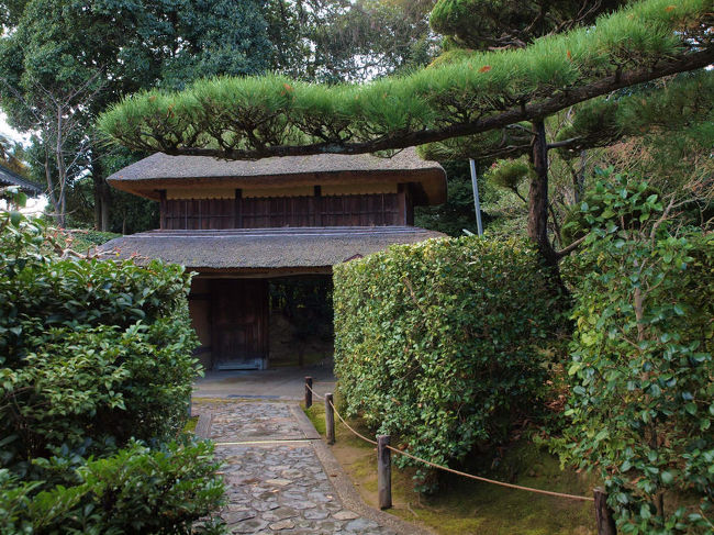 大和小泉藩主の菩提寺<br /><br />　設計も武士がしたような　簡素で美しい<br /><br />　　書院　茶室だけ見れば　武家屋敷に見えたかもしれません