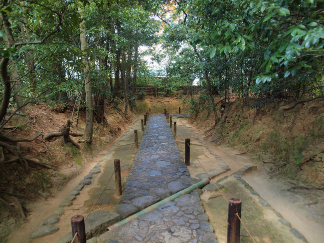木々に包まれた　直線的な参道。<br /><br />　武家の印象、、