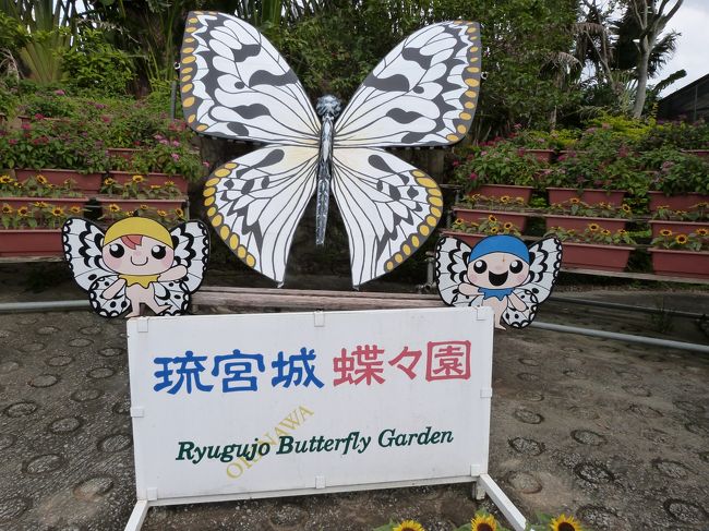 食後は、琉宮城に併設された蝶々園を散策