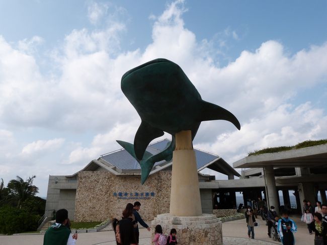 やっぱり見るのは美ら海水族館です！