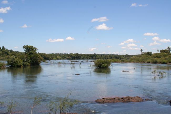 歩道から見たイグアス川の様子