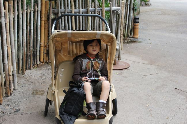 ダブルストローラーを$31で借りました<br />息子はもうすぐ６歳と大きいのですが、広いパーク内を連れて歩くのは<br />難しいことは目に見えてます。<br />お陰で楽させていただきました<br />ただ、円高じゃなければこんな無謀なことはしませんが。。<br />円高、ありがとう