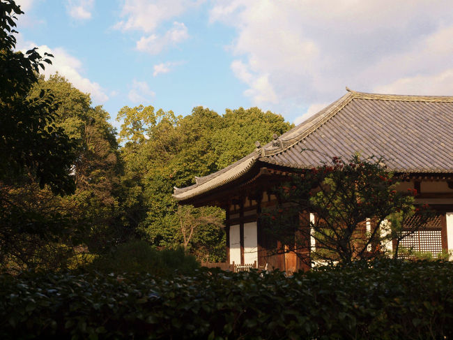 この姿心にとめて