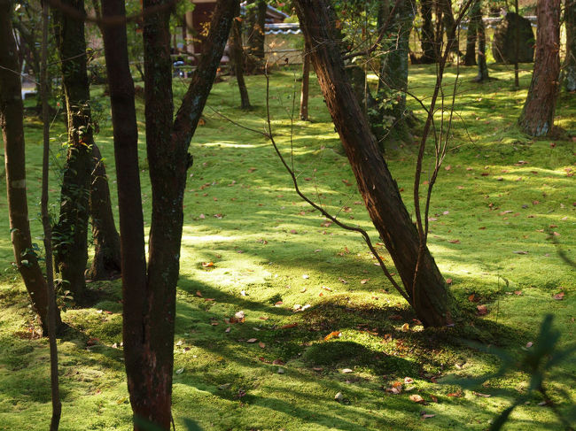 木々に別れを告げる