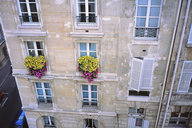 パリに来るのは１９９１年以来実に１３年ぶりである。２０００年にはリヨンに住んでいたが、１年を通して通過以外で一度もパリに来なかった。ただ単にパリに行く用事がなかったからである。今回はそのパリで用事が出来たため、はるばる来たのである。１３年前には行くことが出来なかったルーブルやヴェルサイユにも寄ることを予定した。