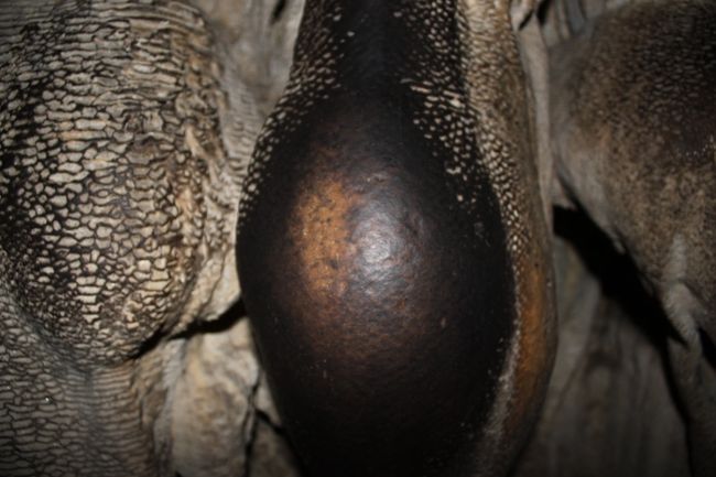 皆さんここをなでて通られるのでこのようになったのだそうです。