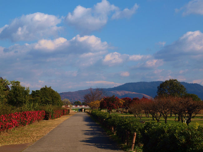 国と文化庁がはじめた　復元工事も昨年　終わり<br /><br />１３００年前の第一次大極殿の姿が出現、<br /><br />一年ぶりに訪れました。<br /><br />この綺麗な青空で