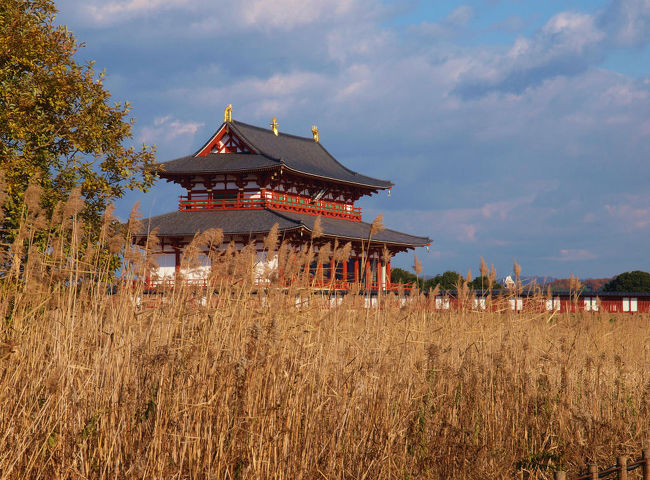 西大寺から来たので朱雀門からではありません<br /><br />枯草の彼方にその姿が見えてきました。