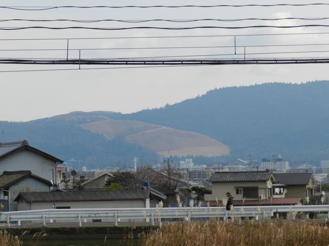 その向こうには「若草山」が見えています。<br />今年は1月28日(土)に山焼きがあるそうです。