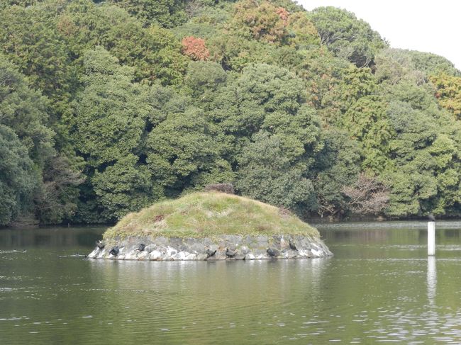 こちらは鵜でしょうか...？