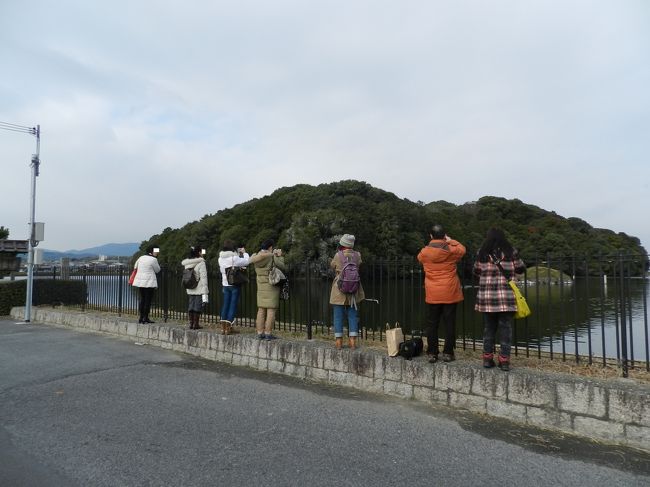 おやっ！<br />数名の人が横一列に整列して写真を撮っていますね〜。まるで何かの撮影会のようです。<br /><br />よ〜く見ると、奈良コミュのメンバーさんたちでした（笑）。<br />写真右から、ガブちゃん・大目付さん・はな☆さん・susanaさん・シッポちゃん・はなままさん・kuritchiさん。