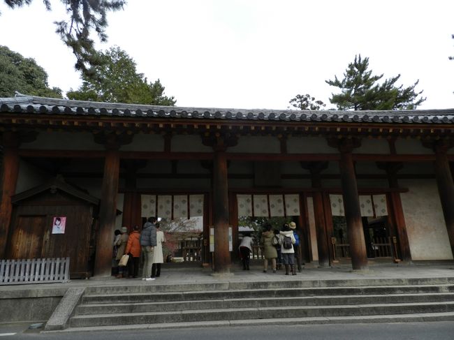 またまたテクテク歩いて「唐招提寺」の南大門までたどり着きました。<br />尼ヶ辻駅から大した距離ではないのですが、写真を撮りながら＆ペチャクチャしゃべりながらの道中なので、やっぱりけっこう時間がかかりますね〜。