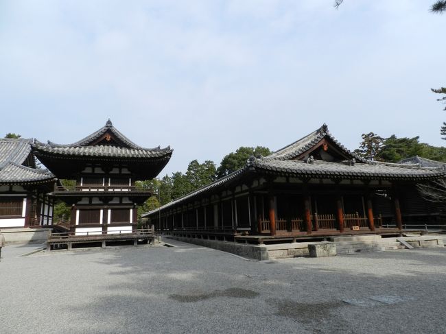 金堂を拝観したあと、境内を散策してみましょう。<br /><br />向かって左が「鼓楼」、向かって右の長細い建物が「礼堂」です。