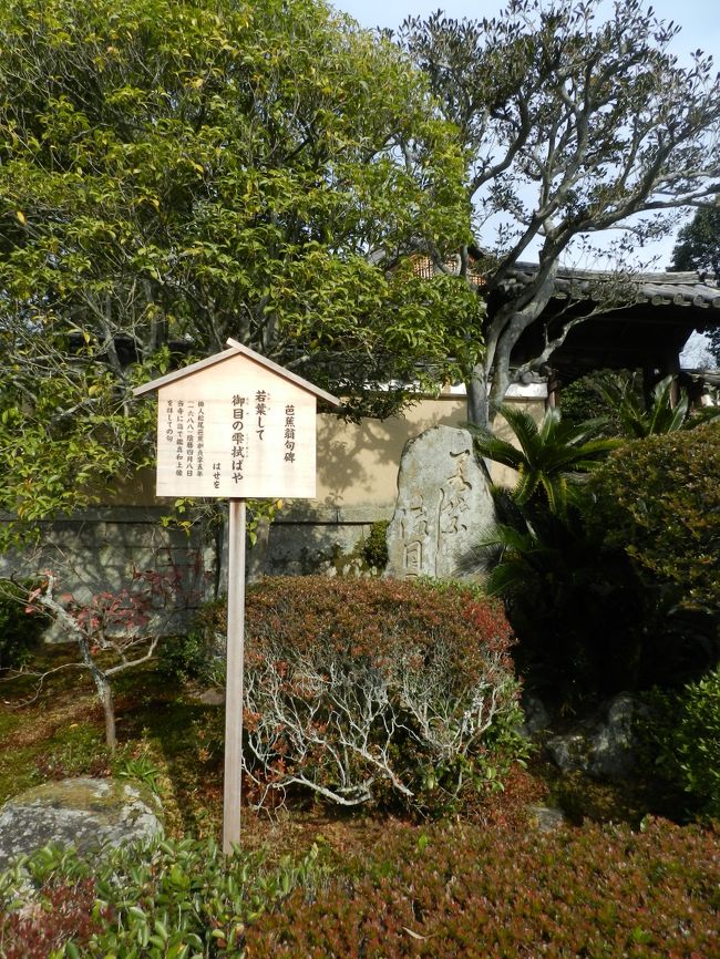 いつの間にか、皆とはぐれてしまいました。<br />そのうちにまた合流できるだろうと思って、自由散策を続けます。<br /><br />松尾芭蕉の句碑がありました。<br />『若葉して 御目の雫 拭ばや（わかばして おんめのしずく ぬぐはばや）』・・・1688年作、鑑真和上像を拝しての句。<br /><br />近くには北原白秋の句碑もありました。<br />『水楢の 柔き若葉は み眼にして 花よりもなほや 白く匂はむ』