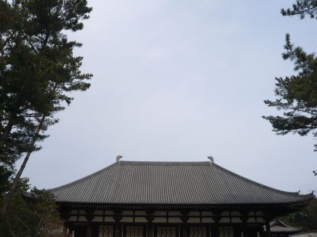 おおっ！<br />まさに“天平の甍”ですね〜！！<br /><br />Photo by wife