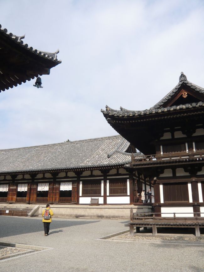 建物の写真を撮るJOECOOL。<br /><br />「鼓楼」の左側に見えるのが「講堂」です。<br />「金堂」の真裏にあります。<br /><br />Photo by wife