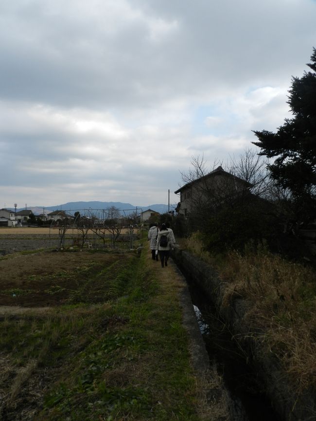 その近道というのがこのような畦道！<br />都会での生活をしているとこのような畦道を歩くことはめったにないので、何だか遠足の様で楽しかったなあ〜♪