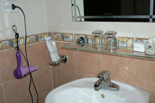 トイレの排水が悪い。ベトナムも他のアジア圏と同様、下水状況は悪いから紙を外のゴミ箱に入れるんだけど、ホテルとかは大丈夫だと思っていた。<br /><br />シャワーを浴びてすっきり。アリランＴＶ？のチャンネルから流れてくる韓国語に何故か癒される。<br /><br />９：３０ホテルのフロントでホーチミン廟までタクシーでいくらか確認し、タクシーを呼んでもらう。その時メータータクシーが良いのか？って聞かれた。タクシーが来てホーチミン廟に着くと４．８万ドン。ホテルマンの言った５万ドンとほぼ合っている。しっかりおつりをもらった。その後でタクシーにキャップを忘れたのに気がつく。つくづくトホホ・・・。