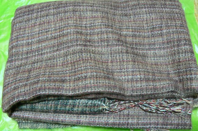 これは１０ドルのマフラー。温かそう〜お土産ですが。<br /><br />近くの公園で一息。残金を確認して、再びマッサージへ。今度は９０分の足マッサージにした。それでも8ドル。<br /><br />偶然?にもまた同じお兄さんだった。二度目でわかったのは良く見るとかなり無愛想な人で、彼が知っている日本語は「もっと前！」だけということ。「ありがとう」でも「Thank you.」でもない。ただ黙々とマッサージをするだけ。薄給だからかどうかはわからないけど、お愛想笑いくらいしても・・・って思うのは私だけかな？とにかく念入りにマッサージ中、右ふくらはぎがかなり痛む・・・歩き疲れよね！！<br />