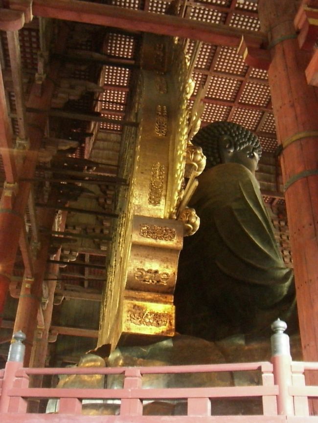 大仏様の周りをぐる―っと回って行くと、後ろの後光みたいなの、こんなに厚みがあったとは！<br />何だかカラクリ仕掛けっぽい・・・。