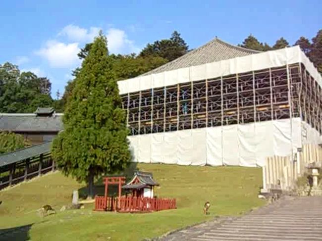 三月堂に向かって左手にあるのは二月堂<br />残念ながら修復工事中でした。<br />あ、この建物も国宝です。