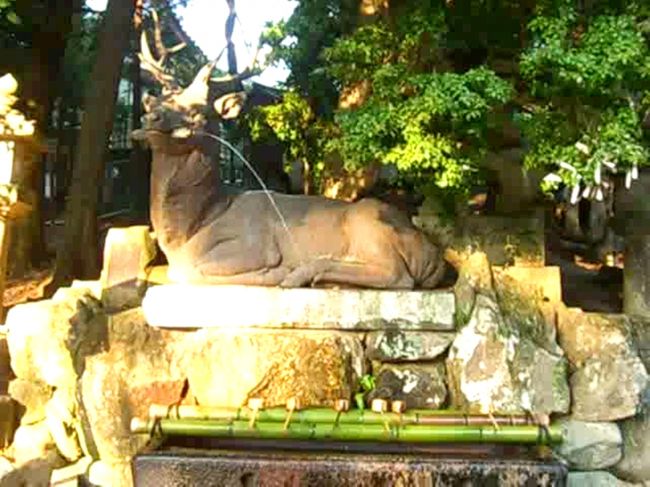 鹿の形をした手水舎発見！！<br />鹿がくわえた巻物から水が出ています。<br />こんな珍しい手水舎は初めて見ました。<br /><br />でもこの鹿近くでよーく見ると目をひんむいている感じで結構恐いお顔でした・・・ひゃ〜〜。