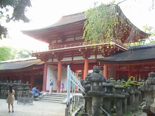 そして南門に到着。<br />うん。このルートを辿れば『着いた！間もなく本殿だ！』って気になるな。<br /><br />春日大社は全国の春日神社の総本社で、約1300年前日本の国の繁栄と国民の幸せを願って、鹿島神宮から武甕槌命（たけみかづちのみこと）を勧請、その後今の地に社殿を造営し、経津主命（ふつぬしのみこと）、天児屋根命（あめのこやねのみこと）、比売神（ひめがみ）を招き、あわせてお祀りしたのが始まり。<br />4柱の神様をまつっていたんですねー。知らなかった・・・。<br /><br />因みに武甕槌命は白鹿に乗ってやって来たので奈良の鹿は神の使いとして大切にされてきたんだとか。<br />