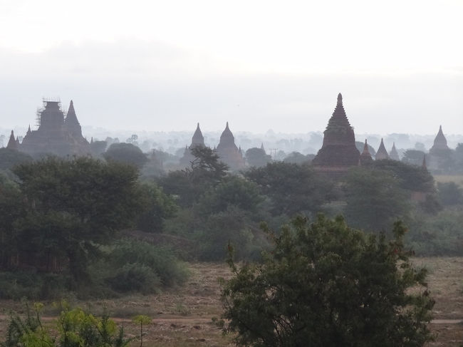 朝靄がいい感じです。
