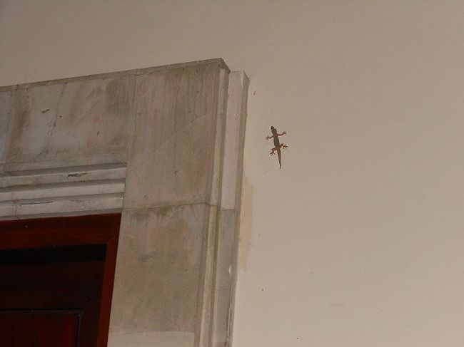 このビラで快適に過ごせるか、２度と来たくない！と思う分かれ目・・・それは<br />虫さんたちと仲良くなれるか？に<br />かかっています。