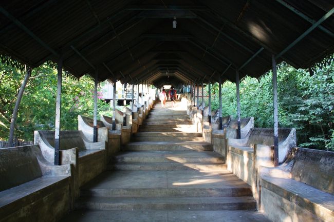 階段はこんな森の中に築かれており、静かな雰囲気です。