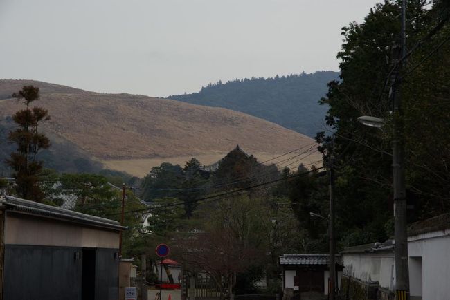 県庁前にクルマを停めて、ゆっくり戒壇院に向けて歩くいつものコース。。今年の若草山、山焼きは２８日だとか。。