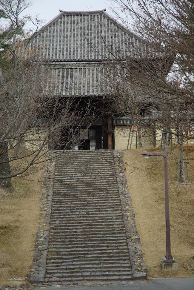 東大寺・戒壇院。。<br />天平時代の素晴らしい塑像四天王が見たい！！！。。<br />姉と王子が合意。。！！<br /><br />母親にこの階段昇れるか？なんて掛けながら。。<br />帰ってくる答えはいつも、<br />「何言ってるんや、昔はへっちゃらやったんやで〜」<br />「そしたら今は。。？」<br />「もちろん大丈夫や〜」<br />その言葉を信じて。。姉と共に階段昇って戒壇院へ。。