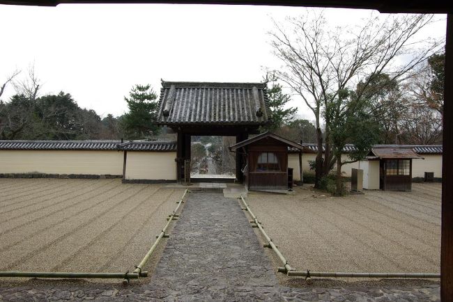 戒壇を二周廻って（王子だけ）、東大寺ミュージアムへ向かいます。。。