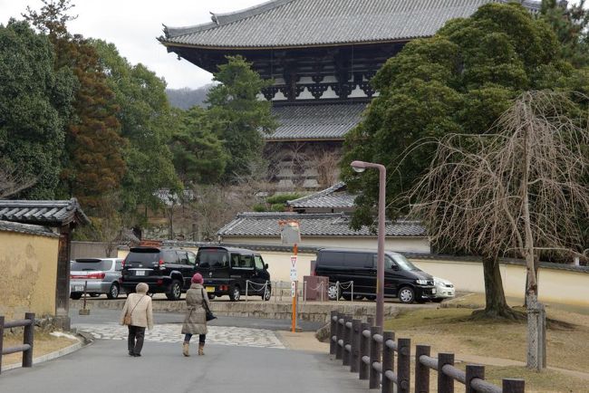 姉と母親が先に歩きます。。王子はうろうろ写真撮りながら追い掛けます。。
