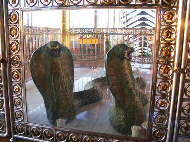 近くで見て動いていないのを確認し、一安心。<br /><br />こういうガラスの檻に囲われていると、生きているものかと勘違いしてしまいます（笑）。