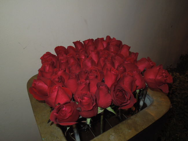 帰りに飾ってあるバラを頂く(笑)